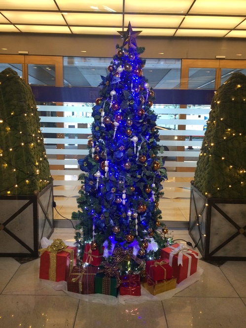 SPOSA UMEDA Xmas.JPG