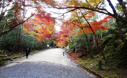 sposa 日吉さん.JPG