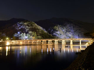 京都 嵐山 ライトアップ.jpg