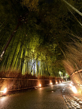 京都 嵐山 結婚式.jpg