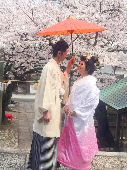 sakura wedding photo ピンク白無垢.jpg