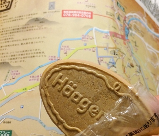 有馬グランドホテル (9).JPG