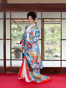 色打掛 流水梅花鶴 （水色） 　☆持込料負担キャンペーン