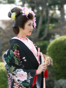 色打掛　黒地にパープルの藤の花