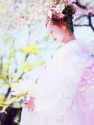 オーガンジィの色打掛　ピンク