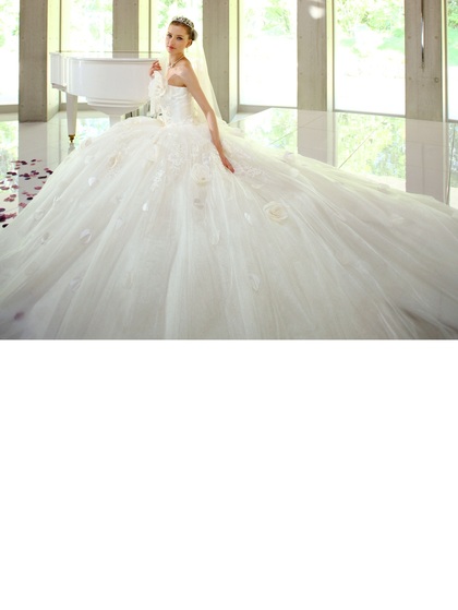 ウエディングドレス プリンセスライン 大阪 滋賀 徳島 岐阜   スポサブランカ 